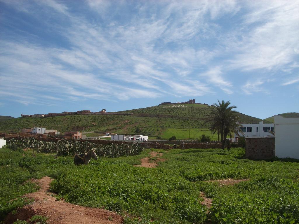 Tigmi Ayour Apartments Mirleft Exterior foto